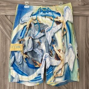 Led Zeppelin board shorts swim suit size 32 men’s vintage by Dragonfly